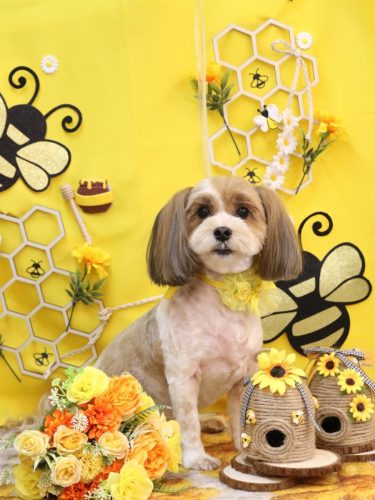 20250930メイちゃん