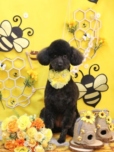 20250930もずくちゃん