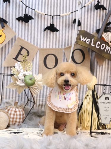 20251001のえるくん