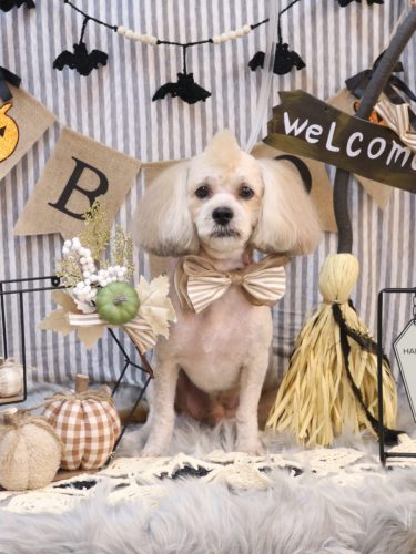 20251001イザくん