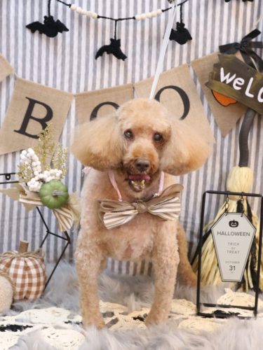 20251001ケンくん