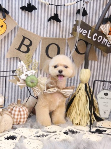 20251001むぎちゃん