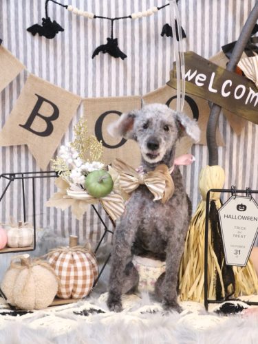 20251001さくらちゃん