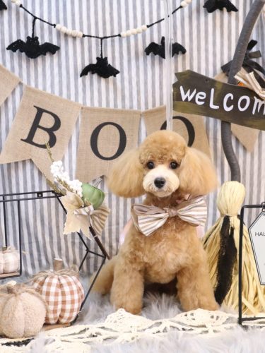 20251002むぎちゃん