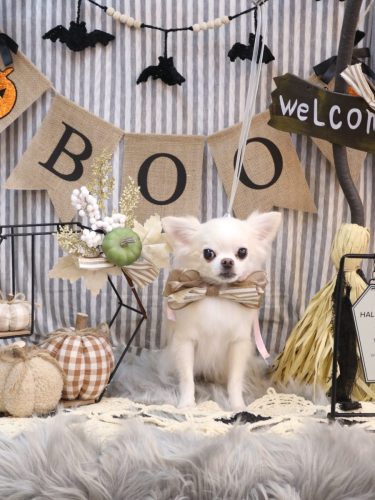 20251002りゅうくん