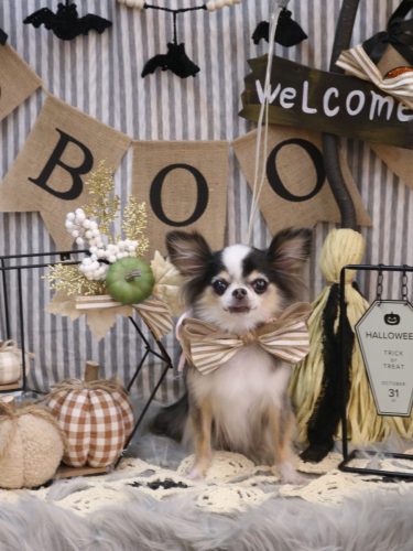 20251003ひめちゃん