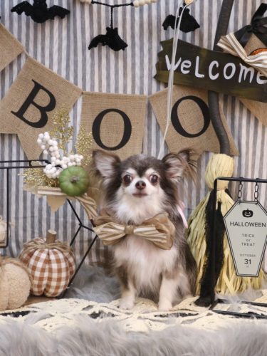 20251003空太くん