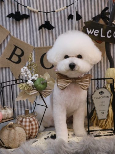 20251003姫葵ちゃん