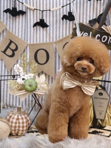 20251003こじろうくん