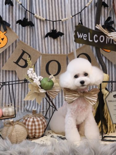 20251004ゆわちゃん