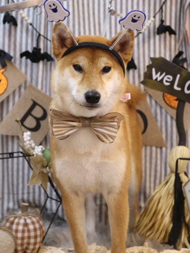 20251004りゅうくん