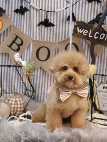 20251004かんたくん