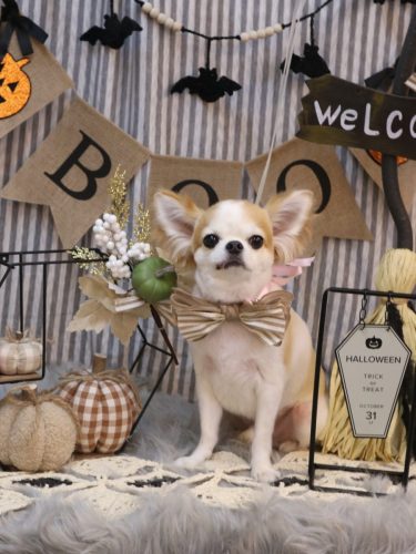 20251004くうくん