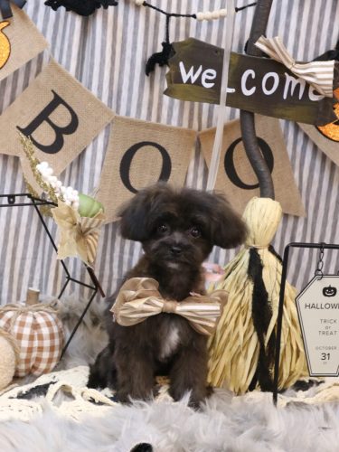 20251005陽芽ちゃん