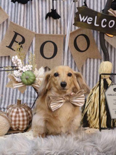 20251005モカちゃん