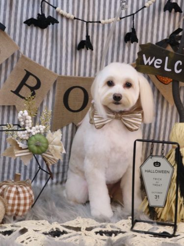 20251005風太郎くん