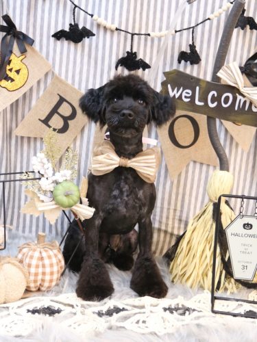 20251005レアくん