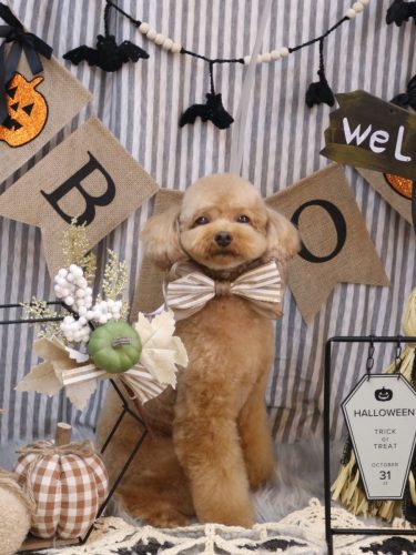 20251005ララちゃん