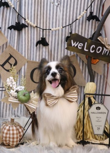 20251005マリーちゃん