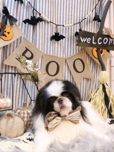 20251005小太郎くん