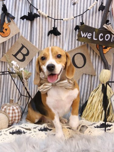 20251005ルーシーちゃん