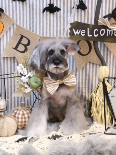 20251007ティノくん