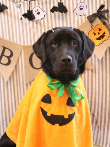 20251007文太くん