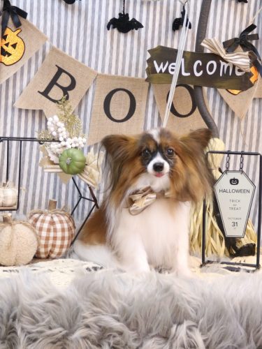 20251008ラナちゃん