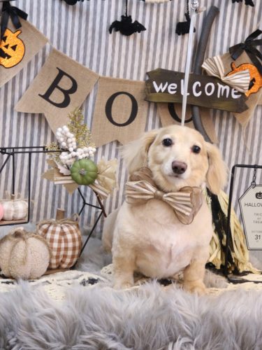 20251008テヤンくん