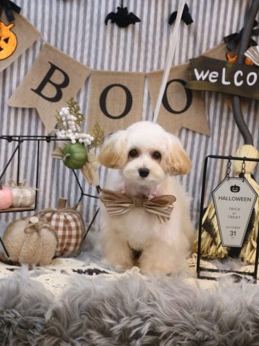 20251008マルくん