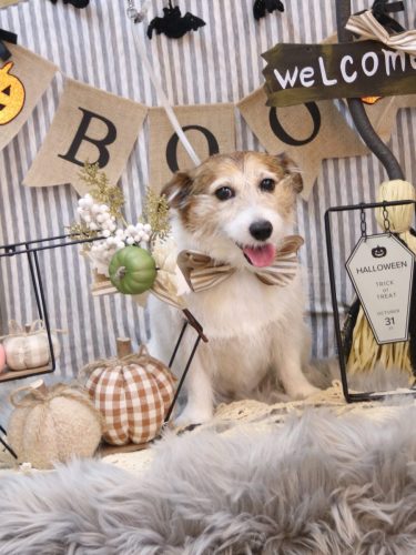 20251008こはるちゃん