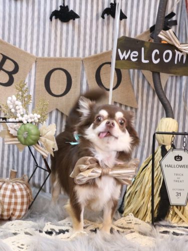 20251008ルアちゃん