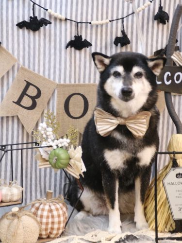 20251009ひめちゃん