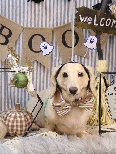 20251009シオンくん