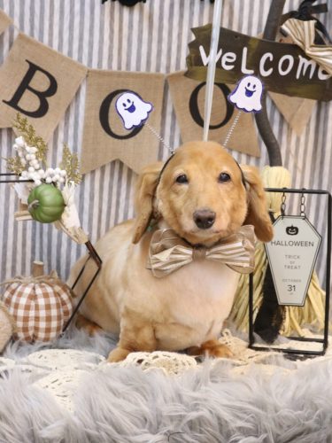 20251009レオンくん