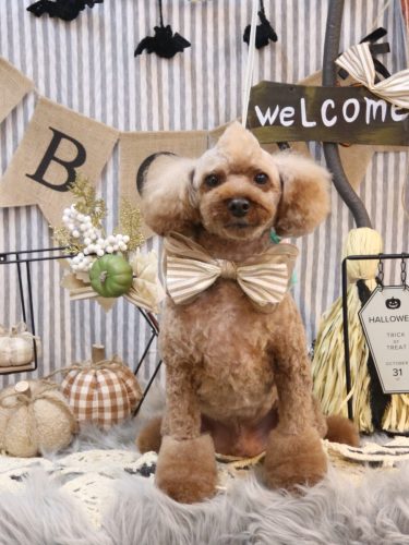 20251009くぅくん