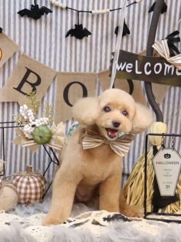 20251009モンチちゃん