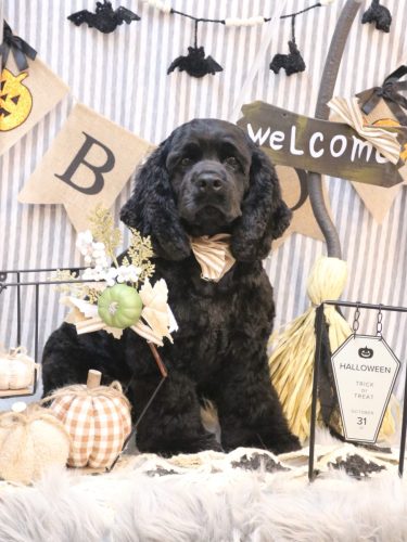 20251009天ちゃん