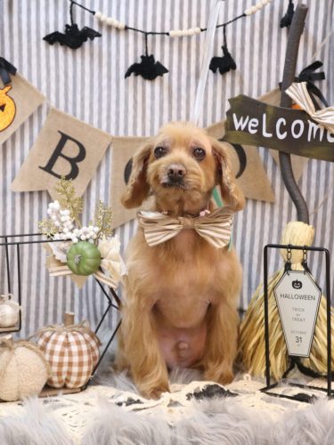 20251009紋之助くん