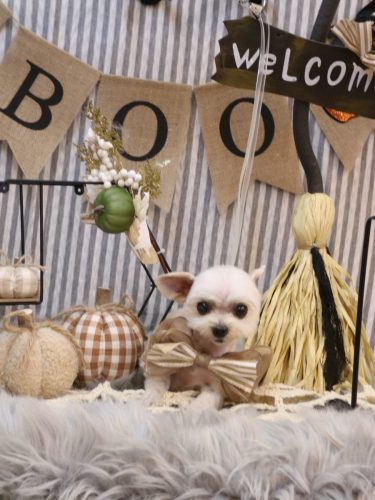 20251010じゅのんくん