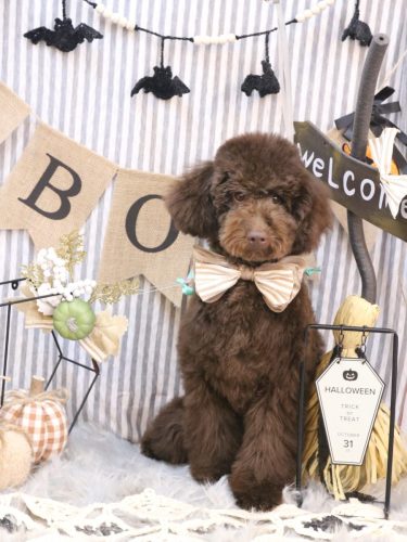 20251010ブランくん