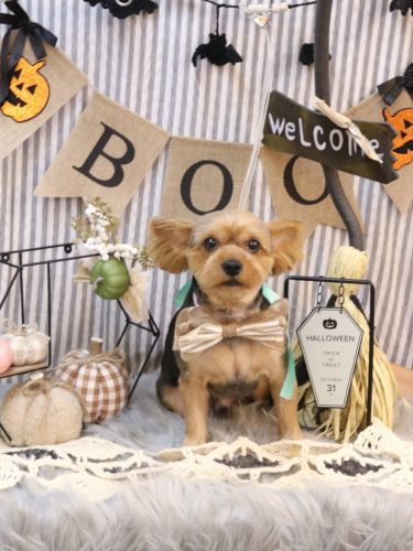 20251010ショーンくん