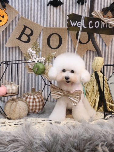 20251010チュッチュくん