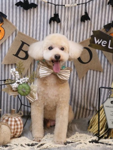 20251011ジョナくん