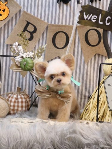 20251011なうちゃん