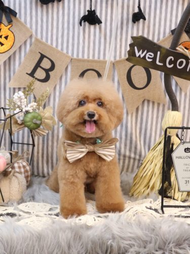 20251012ソラくん