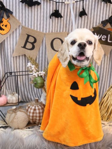 20251012ルーカスくん