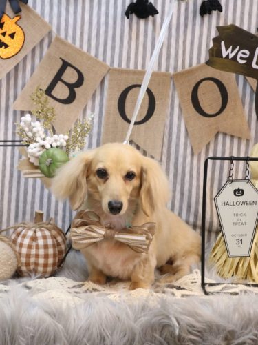 20251012こはるちゃん