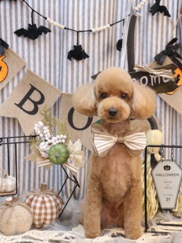 20251014カイくん