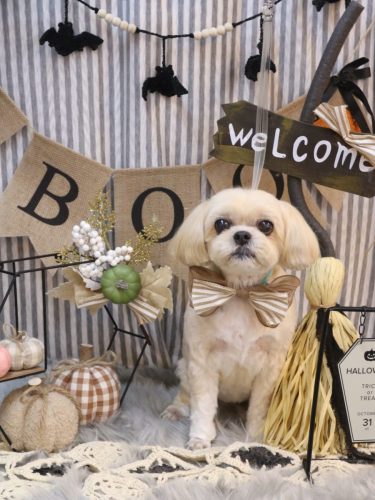 20251014モカちゃん